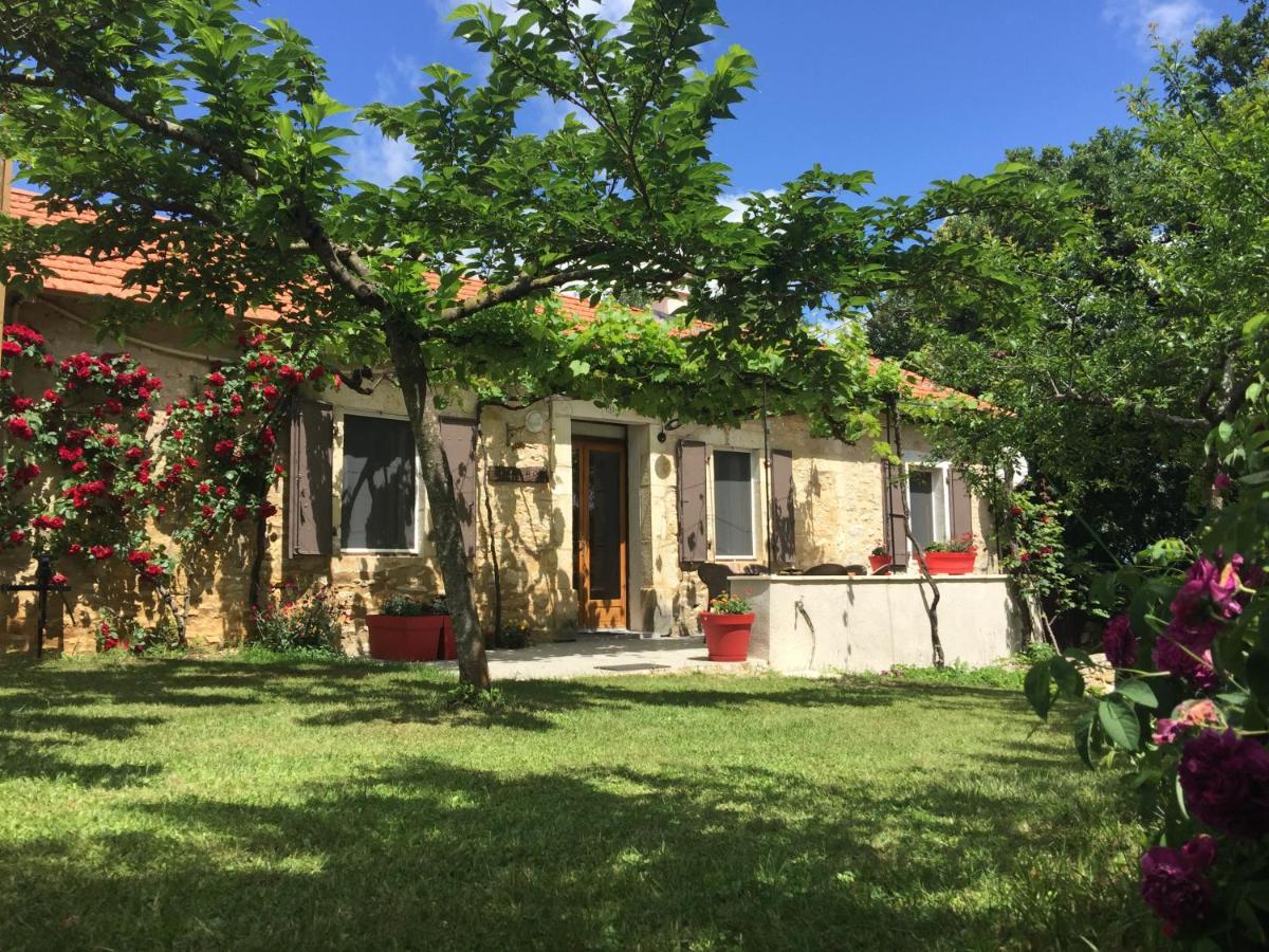 Villa Forgeroc à Saint-Cirq-Lapopie Extérieur photo